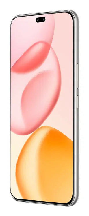 Honor 400 Pro, 17 cm (6.7"), 12 GB, 512 GB, 50 MP, MagicOS 9.0, Grau Handy24- Handy24