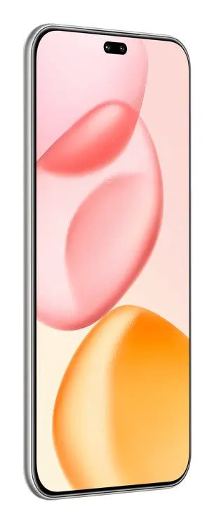 Honor 400 Pro, 17 cm (6.7"), 12 GB, 512 GB, 50 MP, MagicOS 9.0, Grau Handy24- Handy24