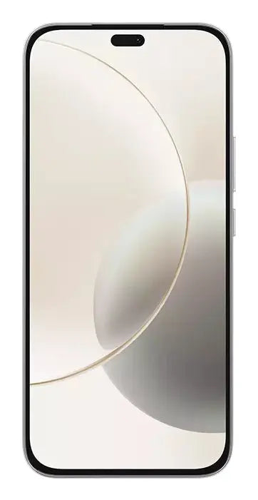 Huawei Honor 400 Lite, 17 cm (6.7"), 8 GB, 256 GB, 108 MP, MagicOS 9.0, Grau Handy24- Handy24