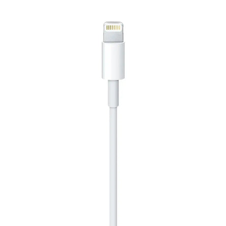 Apple Lightning zu USB Kabel, 1M, Weiß Apple- Handy24