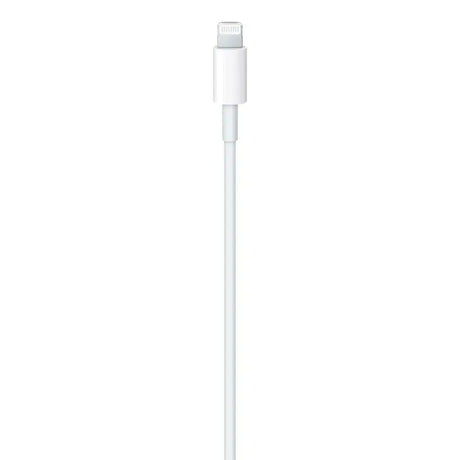 Apple USB-C auf Lightning Kabel (1 m), 1 m, Lightning, USB C, Männlich, Männlich, Weiß Apple- Handy24