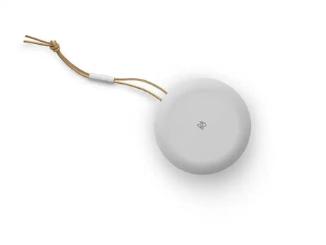 Bang & Olufsen Beosound A1 2nd Gen, 2-Wege, 1,52 cm (0.6"), 8,89 cm (3.5"), 55 - 20000 Hz, Kabellos, AAC