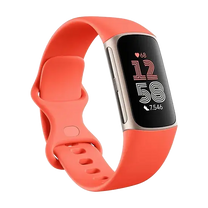 Fitbit Charge 6 - Champagne Gold Aluminium
