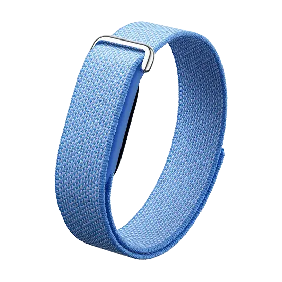 Google Fitbit Air, Lavender
