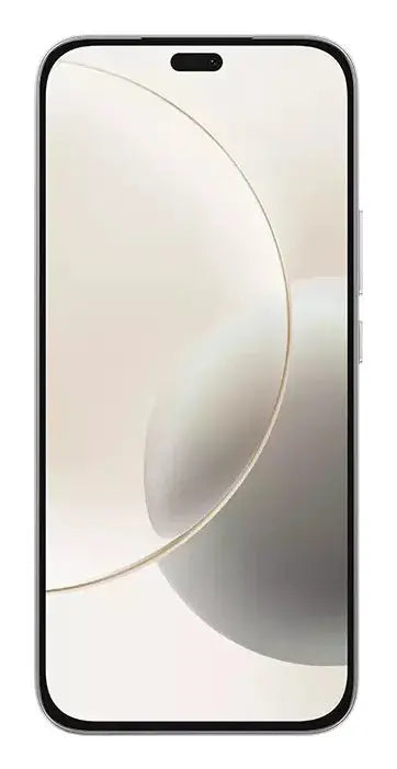 Huawei Honor 400 Lite, 17 cm (6.7"), 8 GB, 256 GB, 108 MP, MagicOS 9.0, Grau