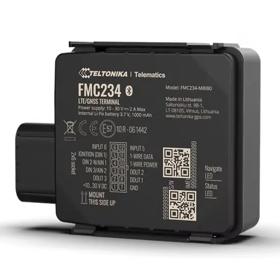 Teltonika FMC234